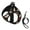 Colour14, variant on Halloween Pumpkin Cat Witch Potion Scary Spooky Pet Leash Vest Small Dogs Cats Puppy Harness With Leash Reflective No Choke Small