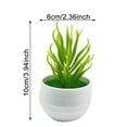 thumbnail image 4 of 3 Mini Indoor Green Small Bonsai - Potted Green Home Decoration, , for Living Room and More, 4 of 8
