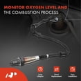 thumbnail image 2 of A-Premium O2 Oxygen Sensor Compatible with Honda Accord 2018 2019 2020 2021, L4 1.5L, Downstream, 2 of 9