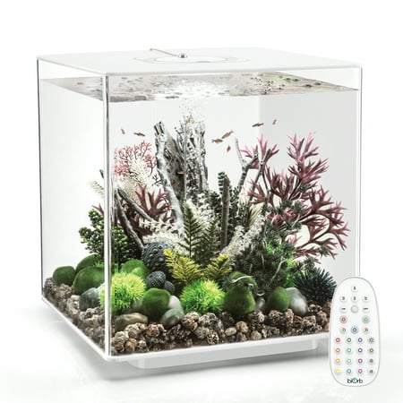 UPC: 0822728720288 | biOrb CUBE 60 Aquarium with MCR Light – 16 gallon  white