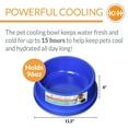 thumbnail image 3 of K&H Pet Products Coolin' Pet Bowl Blue 96 Ounces, 3 of 7