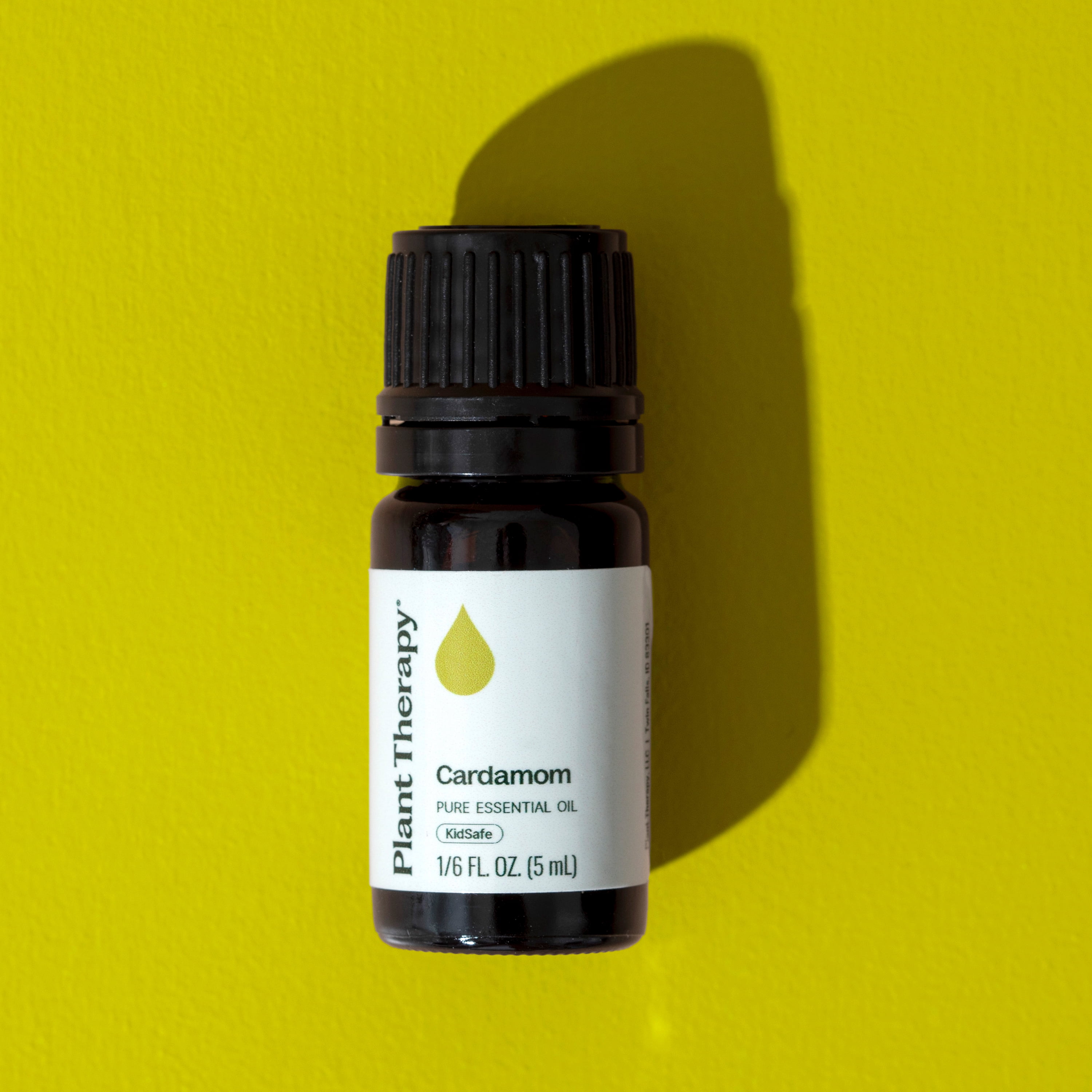 Plant Therapy Cardamom Essential Oil 5 mL (1/6 oz) 100% Pure, Undiluted