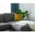 thumbnail image 4 of Gouchee Home Solid Velvet Coussin, 4 of 4