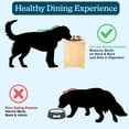 thumbnail image 3 of PETMAKER Elevated Dog Bowls with 15-Inch Tall Bamboo Raised Stand, 3 of 11
