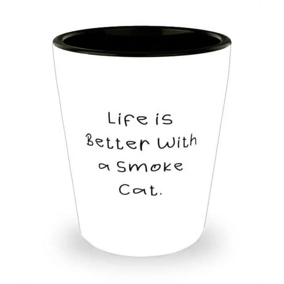 Smoke Cat For Friends, Life is Better With a Smoke Cat, Cool Smoke Cat Shot Glass, Ceramic Cup From Friends