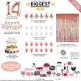 thumbnail image 2 of 14th Birthday Decoration Rose Gold, 14 Party Supplies Decoration, 14th Sash, 14 Cake Topper, 14th Photo Props, confetti Balloons, Curtain, 2 of 4