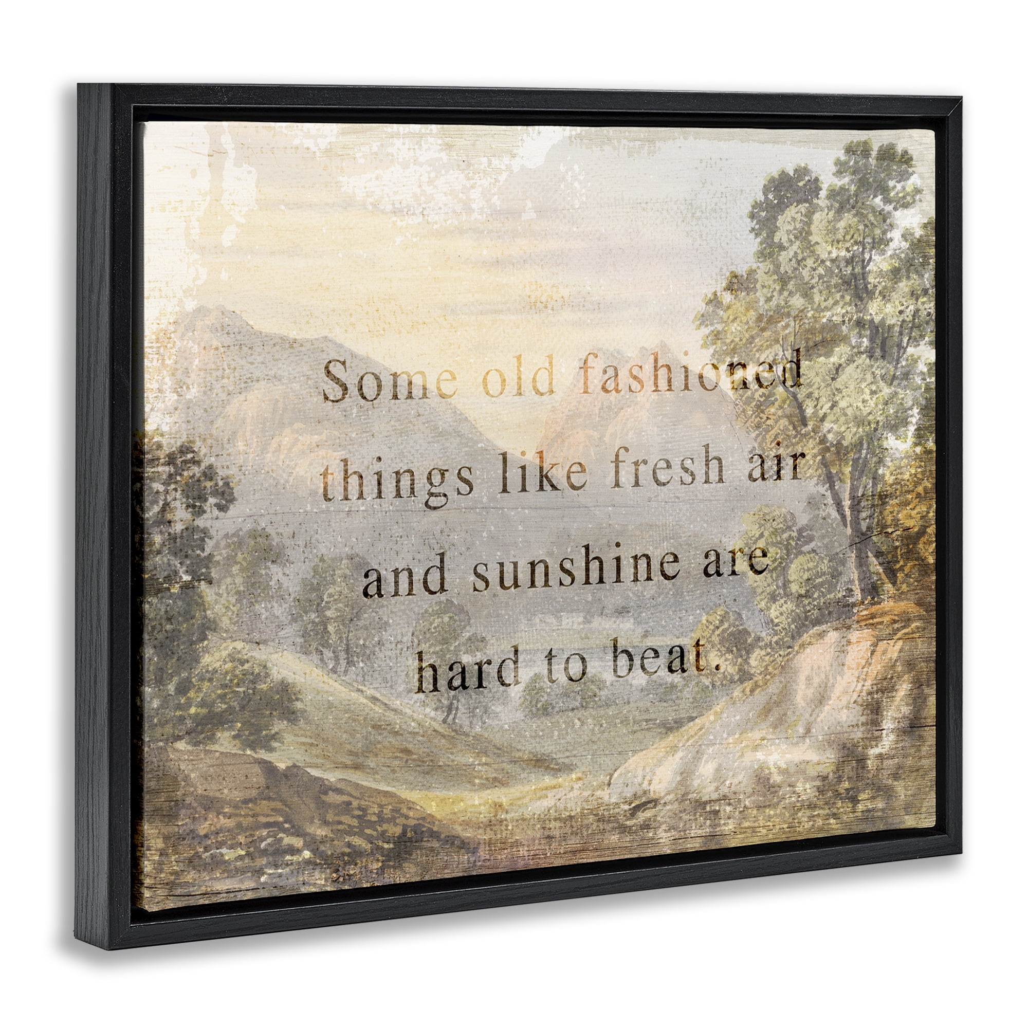 Stupell Industries Fresh Air Sentiment Landscape Landscape & Nature Painting Black Floater Framed Canvas Art Print Wall Art, 31 x 25