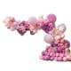 thumbnail image 4 of Kit De Guirnalda De Globos, Película De Látex Y Aluminio, Kit De Guirnalda De Globos Reutilizable, Fácil De Montar, Decorativo De Alto Brillo Con Pegatina De Mariposa, 4 of 8