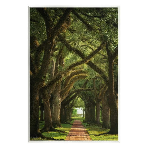 Stupell Industries Shadowed Tree Grove Landscape Photography Unframed Art Print Wall Art, 10 x 15