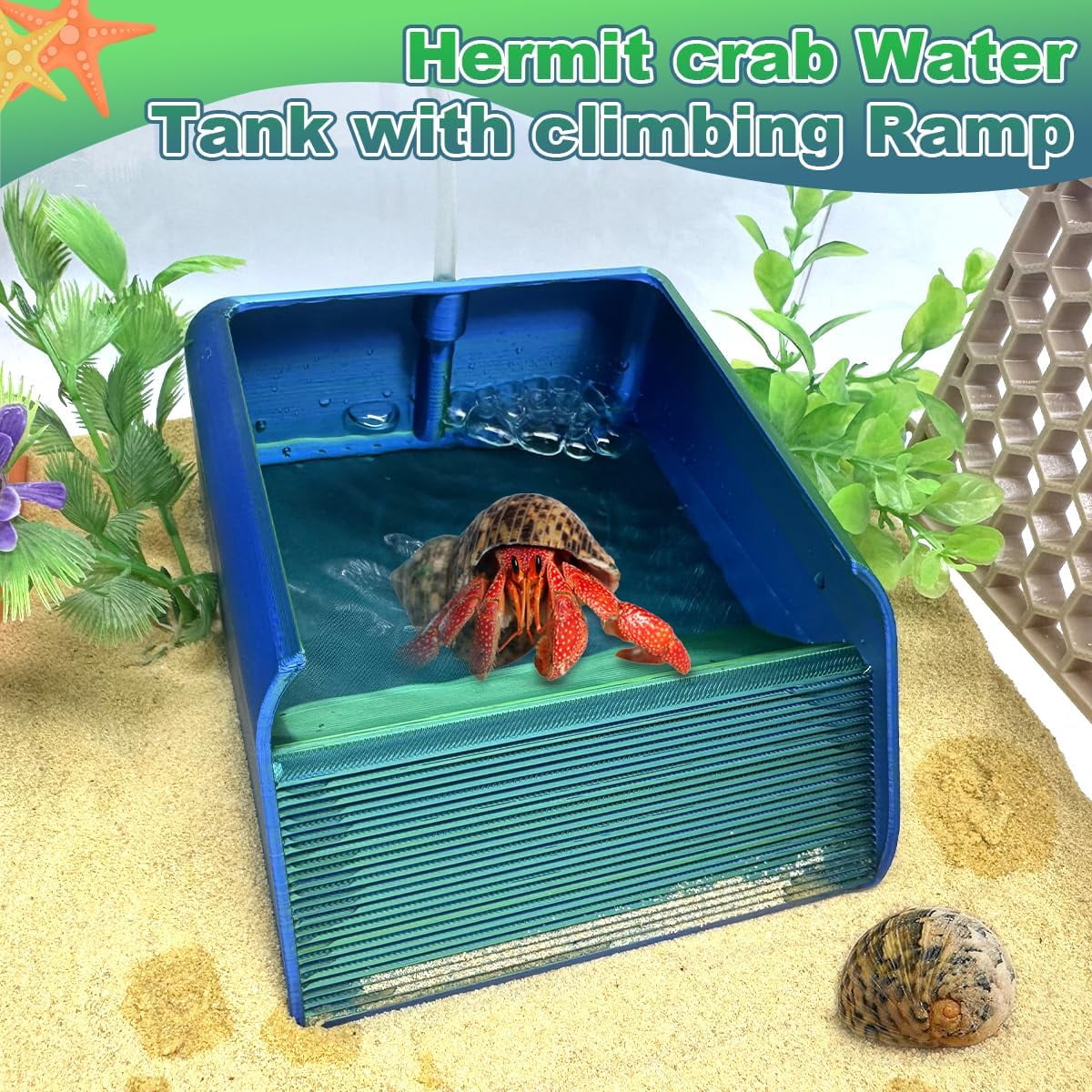 Hermit Crab Water Bowl with Climbing Ramp, Reptile Feeding Water Dish Tank Accessories for Hermit Crab Bearded Dragon Lizard Tortoise Frog Gecko (Navy Blue)
