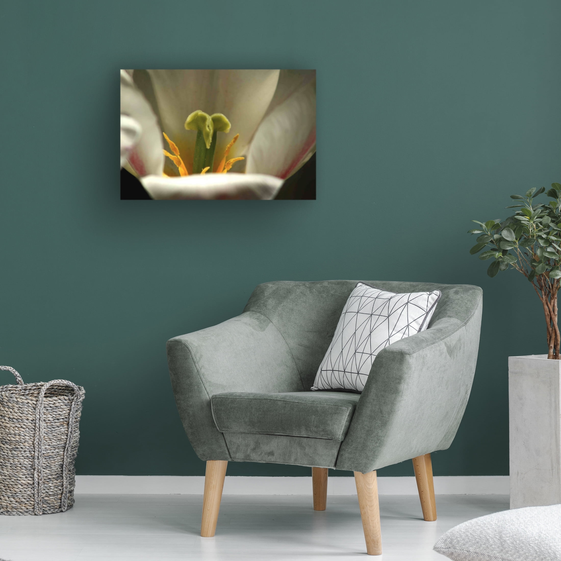 Canvas Wall Art - DANE 'Keukenhof Gardens 4' Wall Art for Living Room, Bedroom, or Office Décor by Trademark Fine Art - 32 x 22 Inches