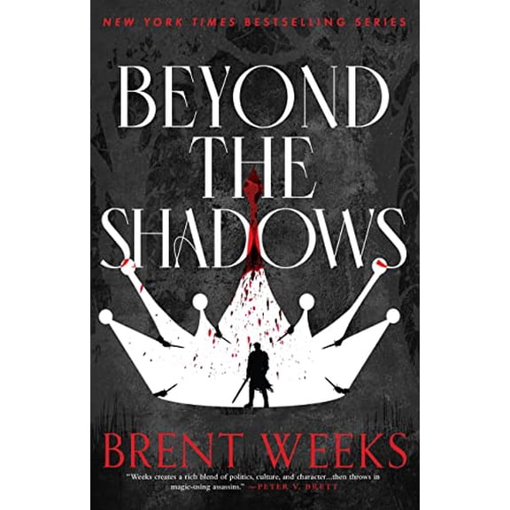 Pre-Owned Beyond the Shadows (Paperback) 0316528366 9780316528368