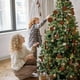 thumbnail image 3 of Juego de 24 bolas navideñas flocadas con formas irregulares y estrella para la punta del árbol. Adornos navideños para exteriores. Decoración navideña., 3 of 6