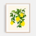 thumbnail image 2 of Sunny Lemons - Illustration Lemon Botanical Fruit Floral Flowers Kitchen Decor Summer Unframed Wall Art Print 24 x 30 inches, 2 of 13