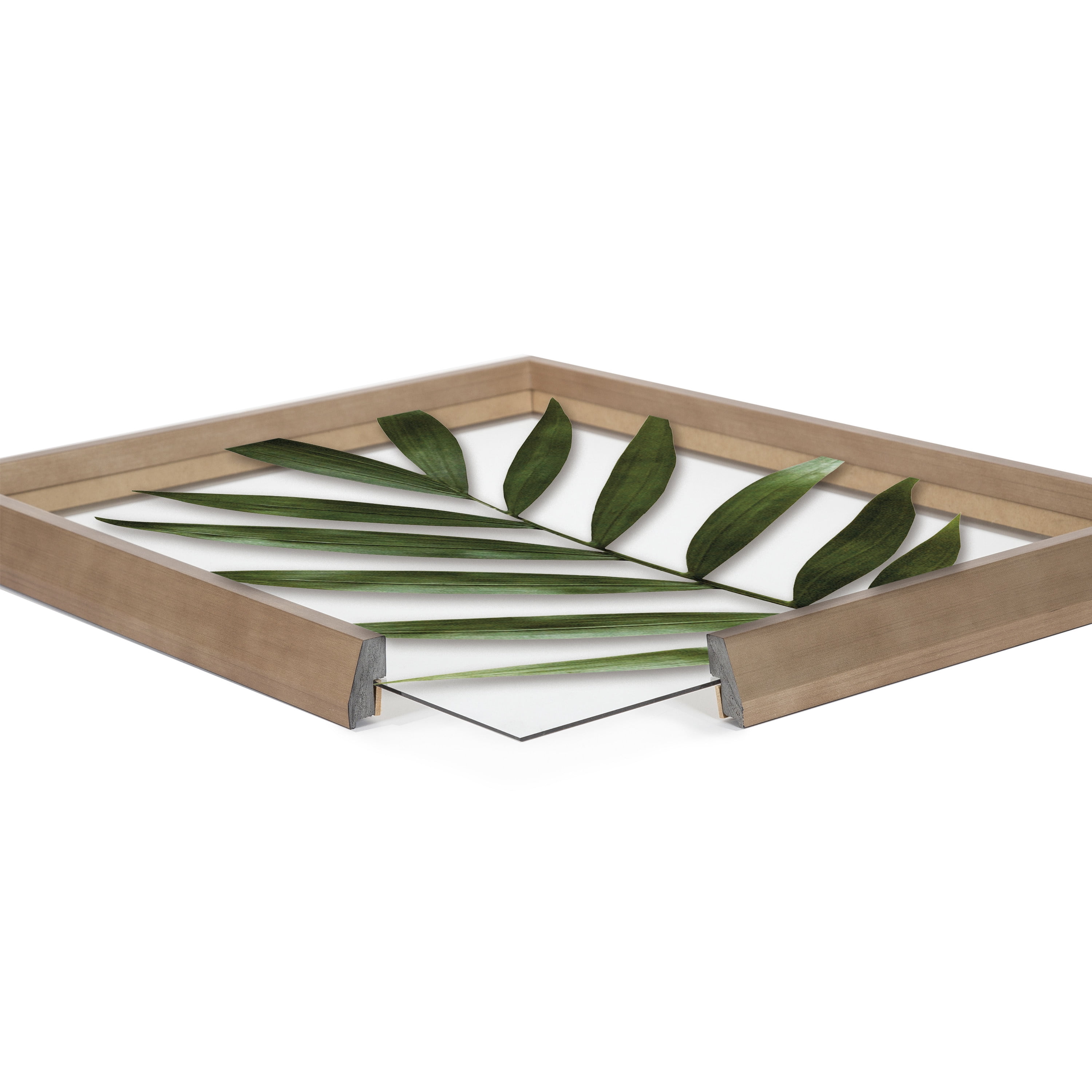 Blake Botanical 5F 16 in x 20 in Framed Photography Art Prints, by Kate and Laurel