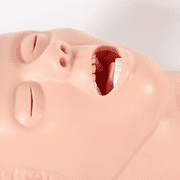 Anqidi PVC Intubation Manikin Study Teaching Model, Adult Oral Nasal Intubation Airway Management Trainer Tracheal Simulator 220V
