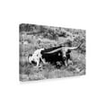 thumbnail image 2 of Trademark Fine Art 'B&W Longhorn I' Canvas Art by Tyler Stockton, 2 of 4