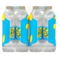 Splash Blast, Lemon Flavor Water Beverage, 16.9 FL OZ Plastic Bottles