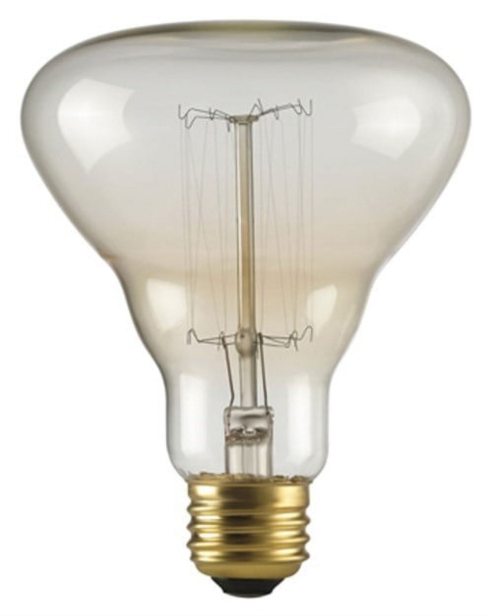 Globe Electric Ampoule incandescente Argentée à design Vintage Edison, 40W  de Chromeo