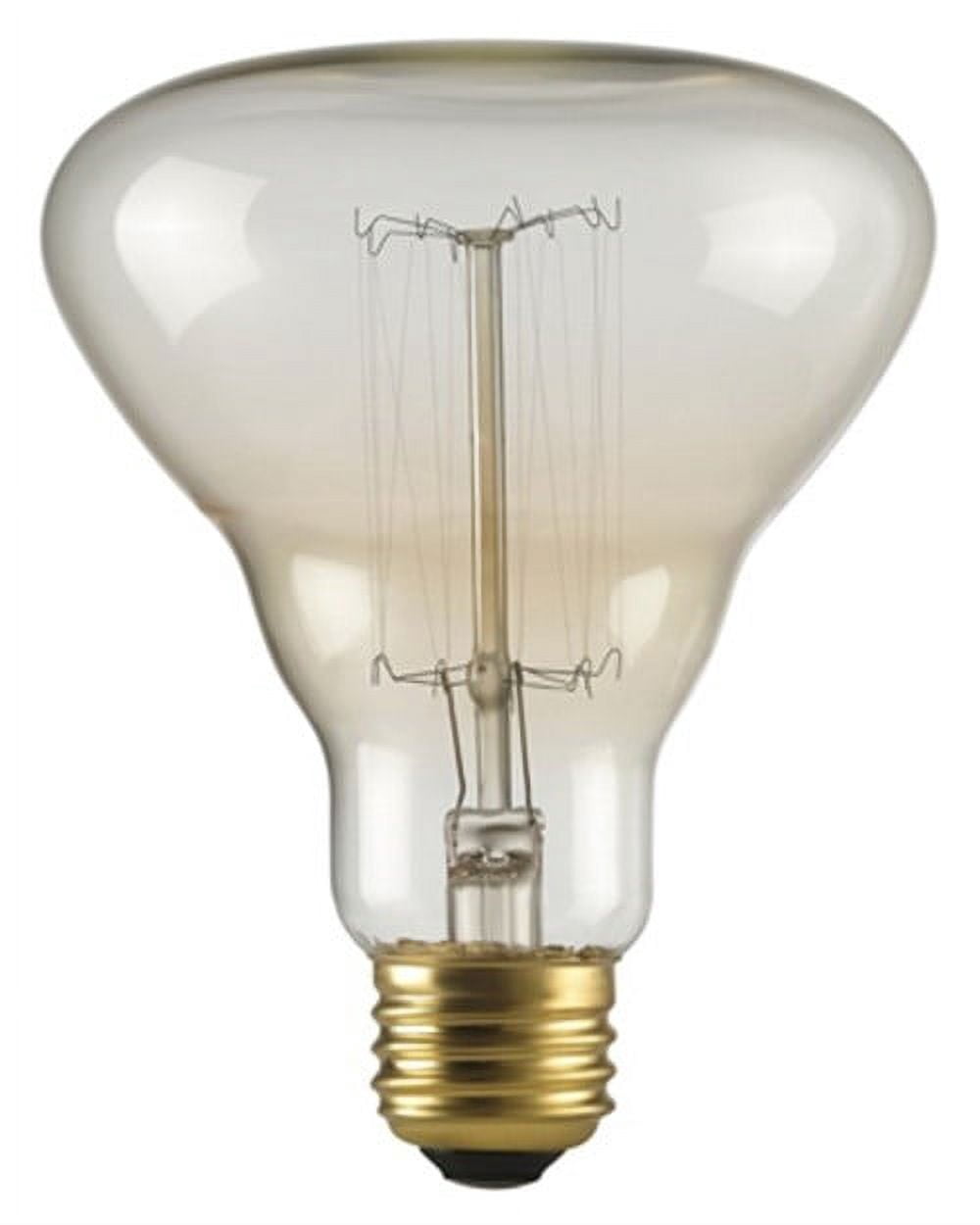 Globe Electric 40W Clear Designer Vintage Edison Labo Incandescent Light Bulb, 84654