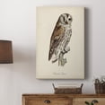 thumbnail image 5 of French Owls III Premium Gallery Wrapped Canvas - Ready to Hang, 5 of 9
