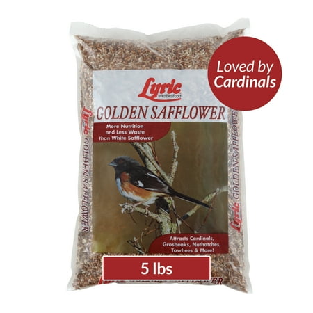 Lyric Golden Safflower Wild Bird Seed - Attracts Woodpeckers & Cardinals - 5 lb. Bag