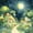 Green, variant on Homewish Mushrooms Moon Landscape Twin Quilt Set,Fungus Plant Twin Coverlet Set,Green Yellow,Black Reversible,2-Piece
