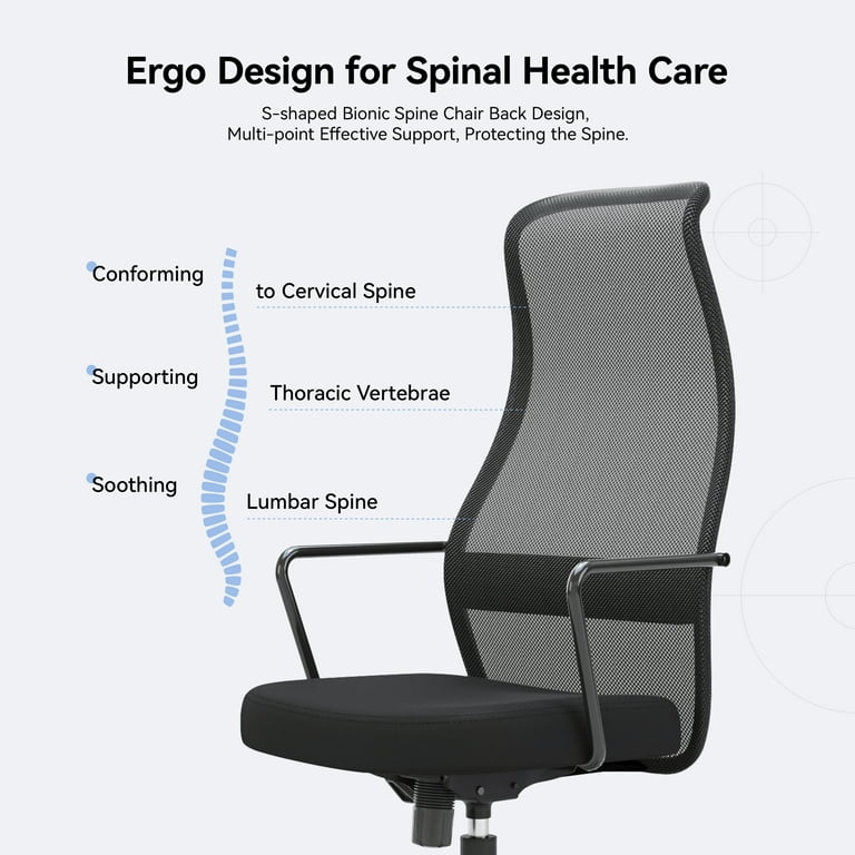 SIHOO Ergonomic High Back Office Chair, Adjustable Computer Desk Chair with  Lumbar Support, 300lb, Gray 