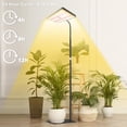 thumbnail image 4 of Yadoker Grow Light for Indoor Plants, 286 LEDs Full  Standing Plant Grow Light with 4H/8H/12H Timer, 10-Level Brightness, 51" Adjustable, Flow Grow Lamp for Tall Large Indoor Plants, 4 of 7