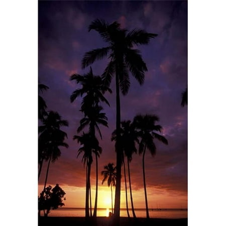 Posterazzi PDDCA27GJO0005 Palm Trees at Sunset Puerto Rico Poster Print by Greg Johnston - 18 x 27
