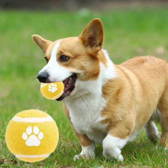 Elainilye Dog Tennis Balls, Felt Solid Elastic Dog Balls Toy for Exercise Fetch Playing, Interactive Toy for Puppy Small Medium Dogs