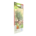 thumbnail image 3 of Pack De 3 Semillas De Eneldo Víta 0.7 G Verde, 3 of 3