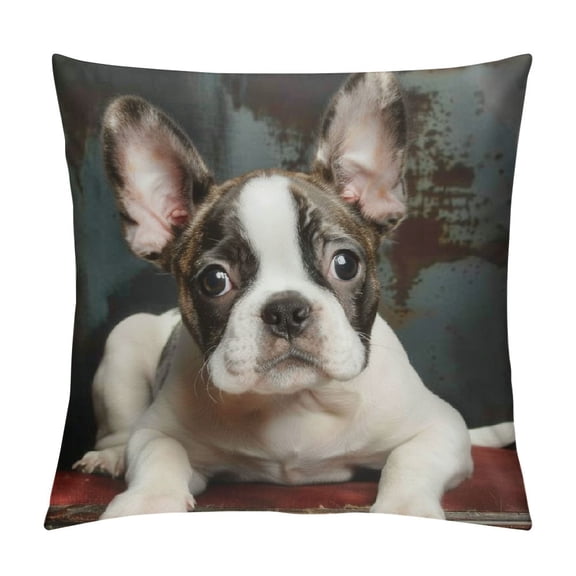 BCIIG Boston Terrier Dog Decorative Throw Pillow Covers Pillows Case Square Cushion Cover Standard Pillowcase for Sofa Couch Bedroom Patio