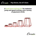 thumbnail image 2 of Champion Sports Welded Steel Plyo Box Set of 5, 2 of 6