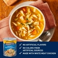 thumbnail image 5 of (6 pack) Progresso Rich and Hearty Chicken and Homestyle Noodles Canned Soup, 19 oz, 5 of 15