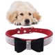 thumbnail image 2 of Methold Decoración para mascotas Cachorro Perro Gato Collar ajustable prop Correa Hebilla Rhinestone PULeather Suministros para perros pajarita negra SG, 2 of 3