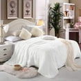 thumbnail image 3 of Lochas Soft Shaggy Blanket Plush Bed Cozy Sherpa Fluffy Blankets for Couch Chair Sofa,60"x80",White, 3 of 6