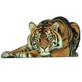 thumbnail image 1 of 3D Animal PVC Car Stickers Decal Auto Body Window Decoración Estilo Accesorios, 1 of 7