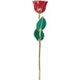 thumbnail image 2 of 24k Gold Dipped Ruby Colored Lacquer Real Rose Valentine's Day Holiday Gift, 2 of 4