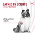 thumbnail image 3 of Supplement Soft Chews Royal Canin Skin & Coat for Dogs 250mL, 3 of 9