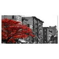 thumbnail image 2 of Designart - Arbre Rouge sur Rue de New York Noir et Blanc - Paysages Floraux Photographiques sur Toile Enveloppée, 2 of 2