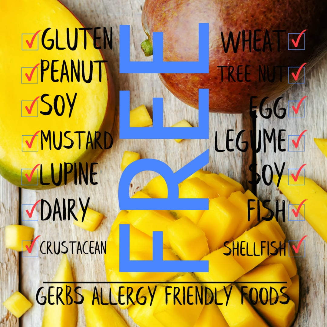 GERBS Dried Mango Slices 2 LBS. | Freshly Dehydrated Resealable Bulk Bag | Top Food Allergy Free | Sulfur Dioxide Free | Digestion, Skin, Vision & Bone Density Aid | Gluten Peanut Tree Nut Free