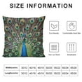 thumbnail image 5 of BANET Throw Pillow Cushion Cover, of with Huge Grand Feathers Enchanted Plumage Image, Decorative Square Accent Pillow Case 24x24in, 5 of 5