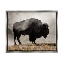 Stupell Industries Powerful Bison Grazing Foggy Rural Pasture Photography Photograph Luster Gray Floating Framed Canvas Print Wall Art, Design by Danita Delimont