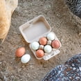 thumbnail image 7 of Hearty Produce Half Dozen Egg Cartons Brown (30-Pack) | 2x3 Style | Biodegradable & Recycled Pulp | Perfect for Small Family-owned Farm, 7 of 7