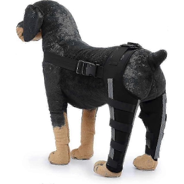 Pet Joint Brace for Dog Hind Leg Stability and Comfort