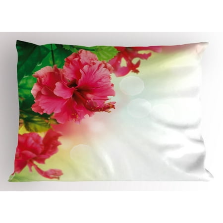 Hot Pink Floral Printed - Floral Pillow Sham Hibiscus Flower Florets Buds Leaf Essence Fragrance Blossoms Garden Image, Decorative Standard Size Printed Pillowcase, 26 X 20 Inches, Hot Pink Fern Green, by Ambesonne