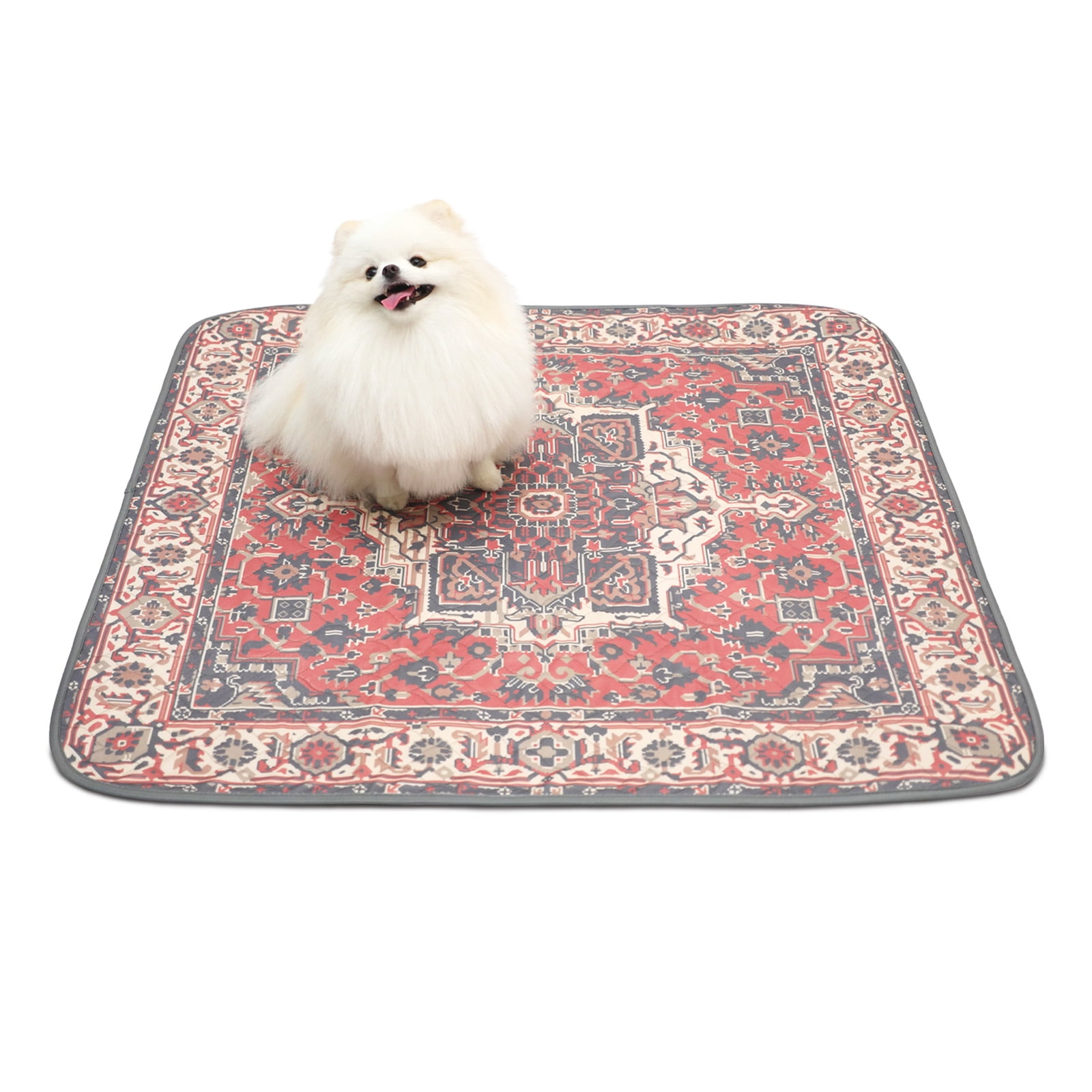 Paw Inspired Washable Dog Pee Rugs Washable Pee Pads 36x36” (2 Pack) | Reusable Puppy Pads for Potty Training, Whelping, Waterproof Mat | Leakproof, Non-Slip Liner (Persian)