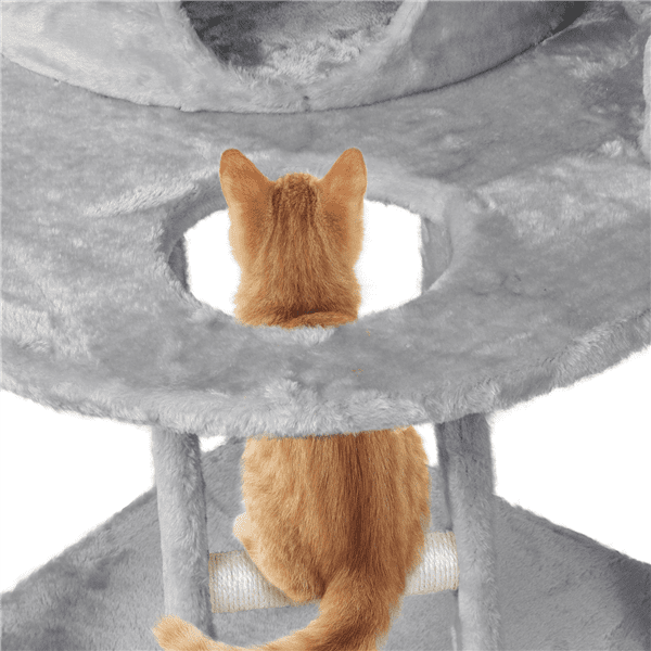 Fritz and friends kitty condo with perch 2025