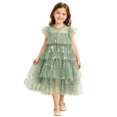 thumbnail image 3 of Curuila Kids Toddler Girls Mesh Dress Flutter Sleeve Floral Embroider Crew Neck Party Comfort Dresses For Girls Size 3-4 Years, 3 of 5
